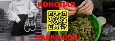 Альфа ПВП Новокубанск