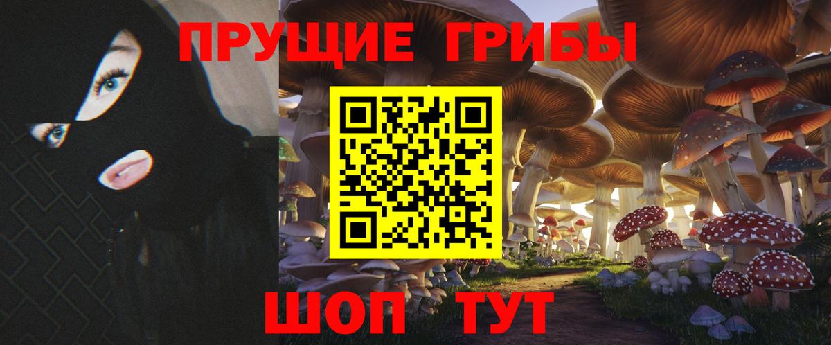 Галлюциногенные грибы GOLDEN TEACHER Саранск